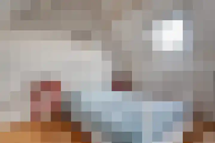 Moeraslanden 14 Steenwijk thumbnail 32