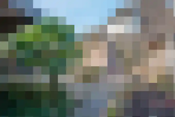 Moeraslanden 14 Steenwijk thumbnail 34