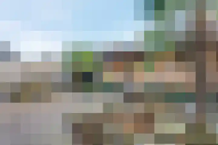 Moeraslanden 14 Steenwijk thumbnail 37