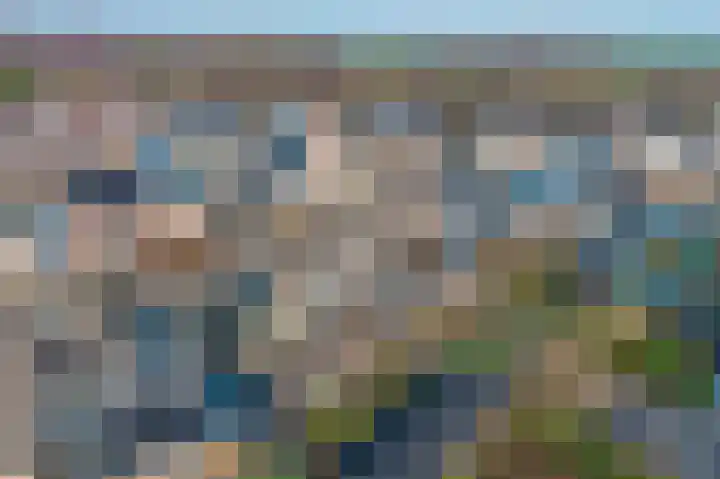 Moeraslanden 14 Steenwijk thumbnail 47