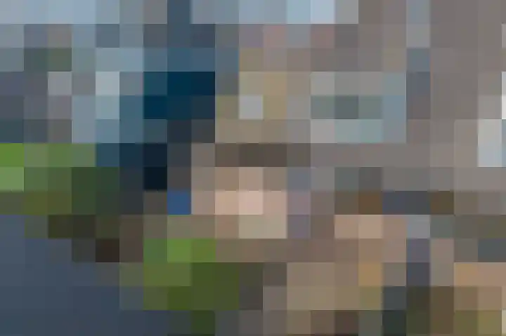 Moeraslanden 14 Steenwijk thumbnail 48