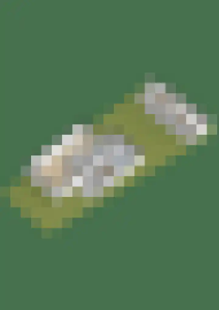 Moeraslanden 14 Steenwijk thumbnail 54