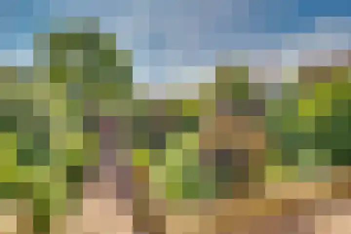 Moerasmeer 59 Houten thumbnail 12