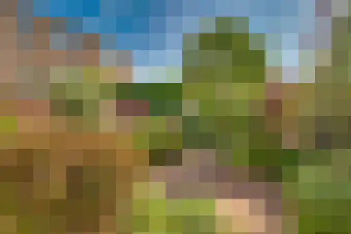 Moerasmeer 59 Houten thumbnail 13