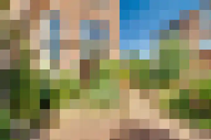 Moerasmeer 59 Houten thumbnail 18