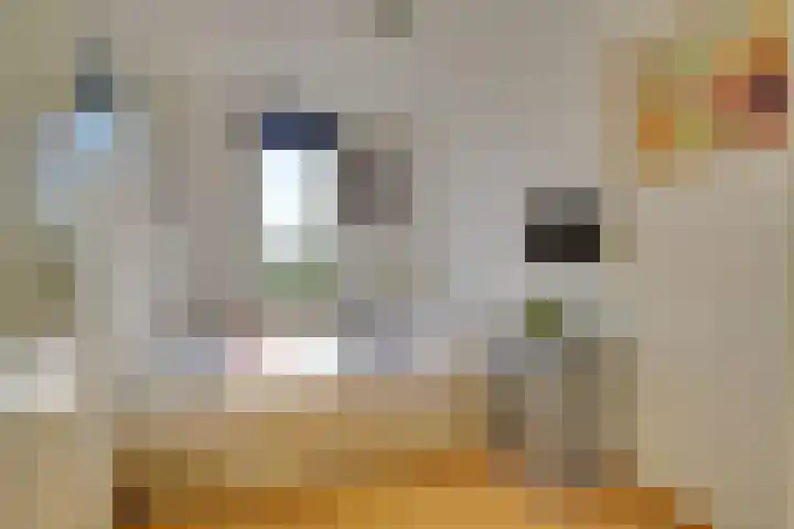 Moerasmeer 59 Houten thumbnail 36