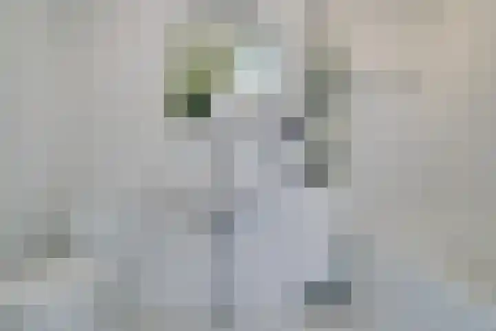 Moerasmeer 59 Houten thumbnail 37