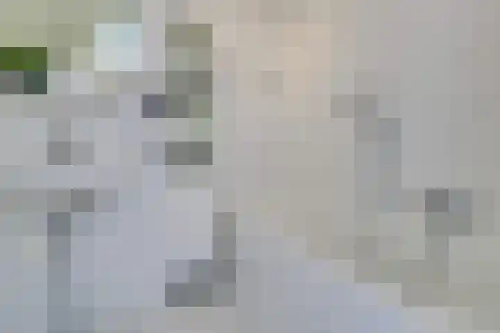 Moerasmeer 59 Houten thumbnail 39