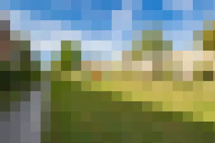 Moerasmeer 59 Houten thumbnail 5