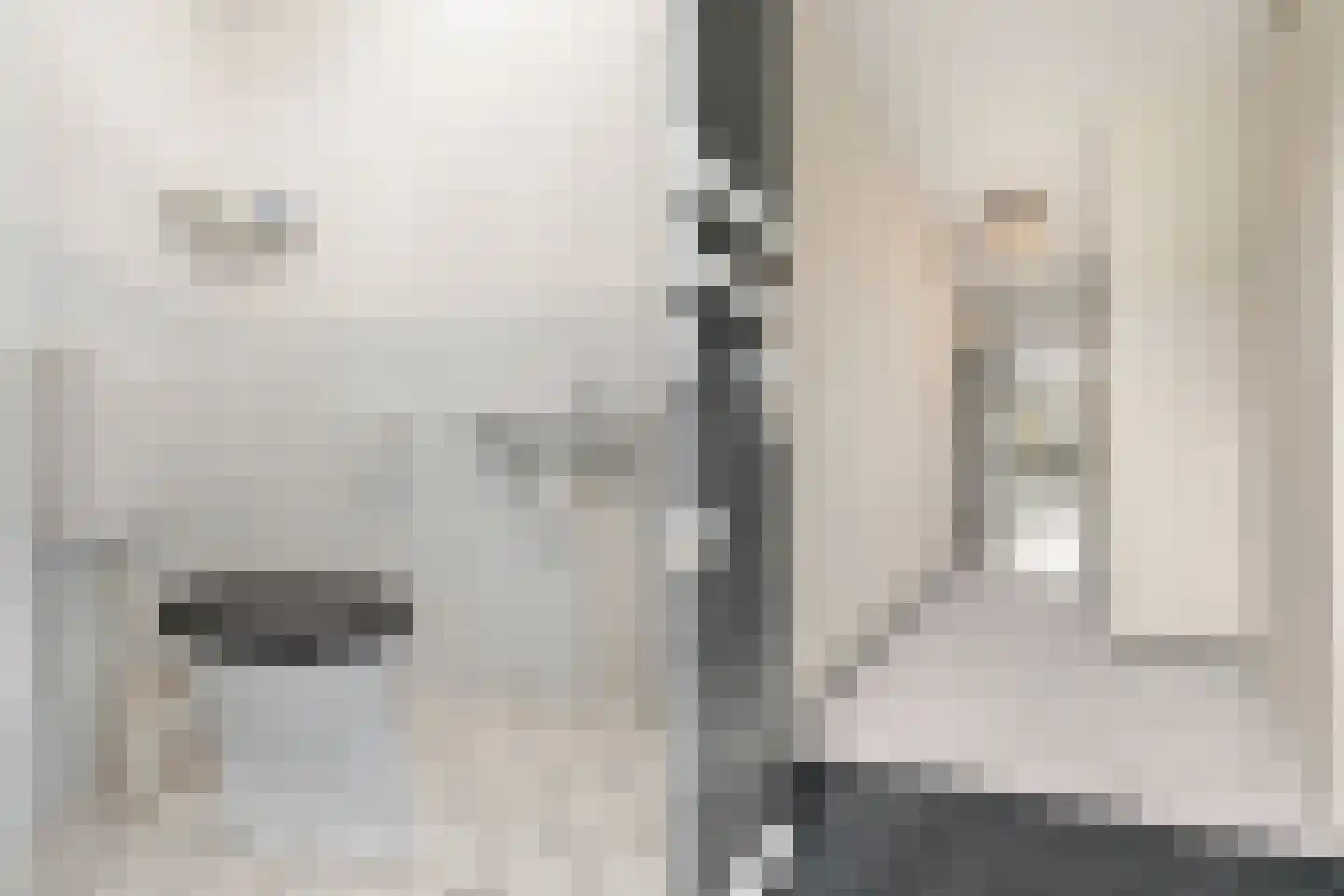 Moerasmeer 88 Houten thumbnail 4