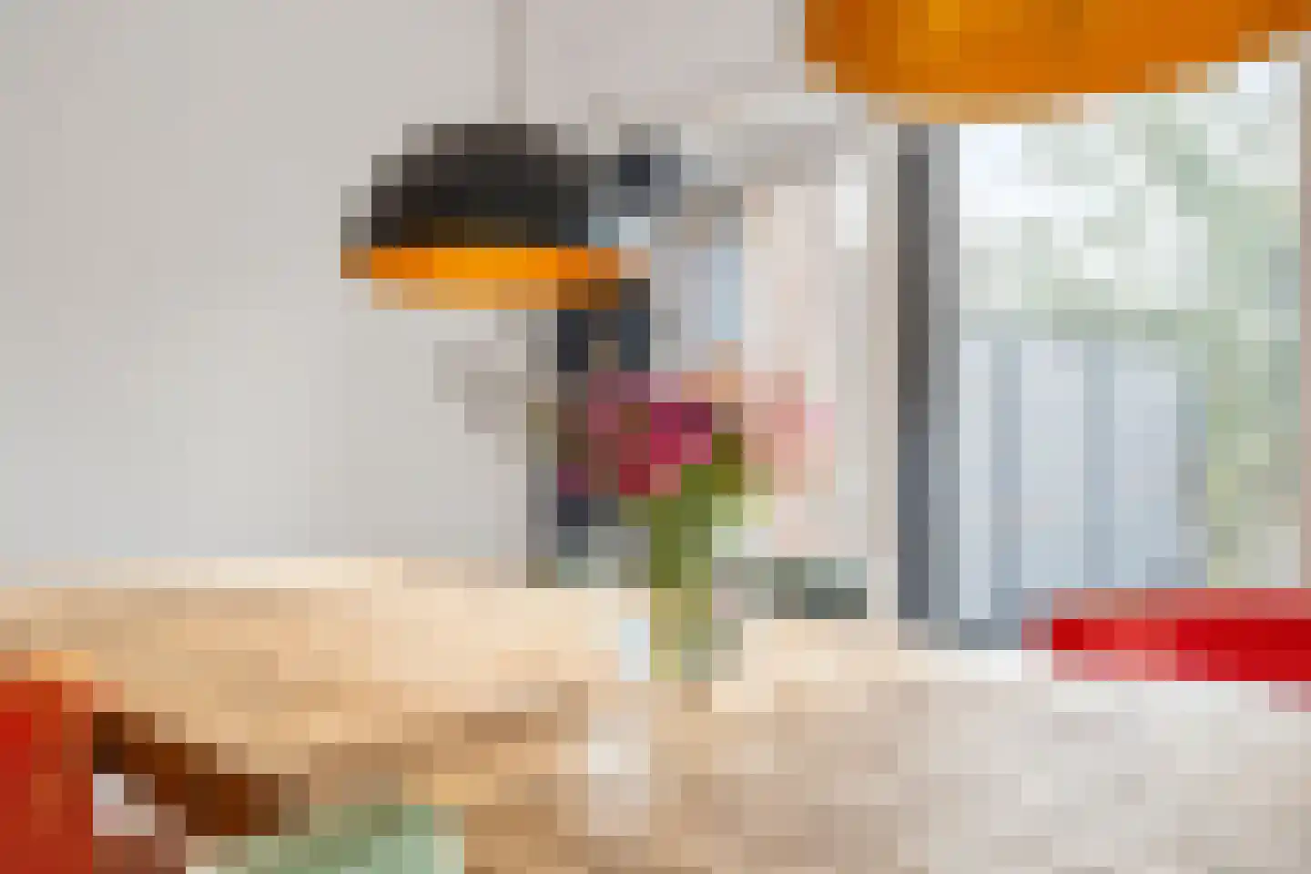 Moerasmos 10 Nieuwerkerk aan den IJssel thumbnail 16
