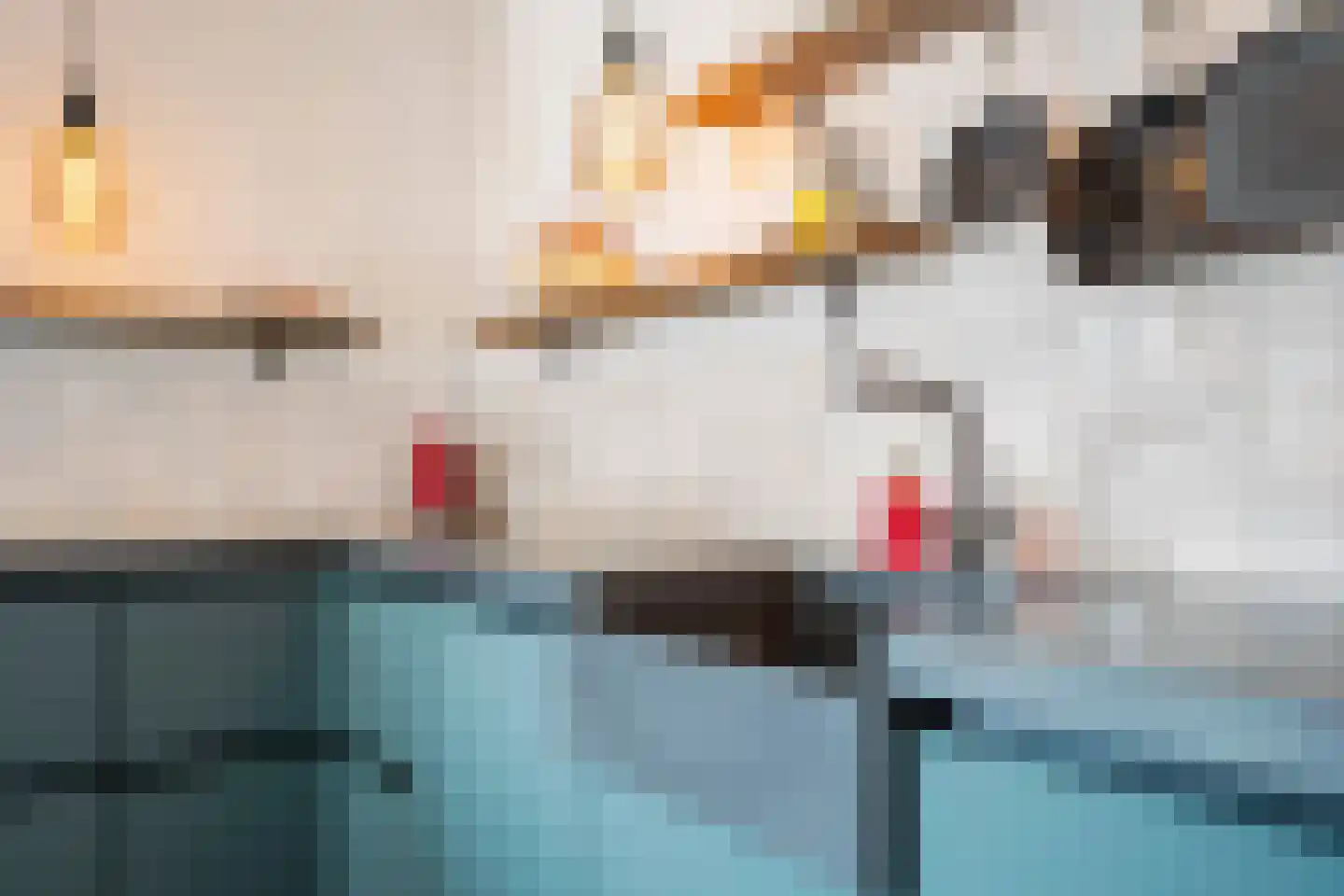 Moerasmos 10 Nieuwerkerk aan den IJssel thumbnail 22