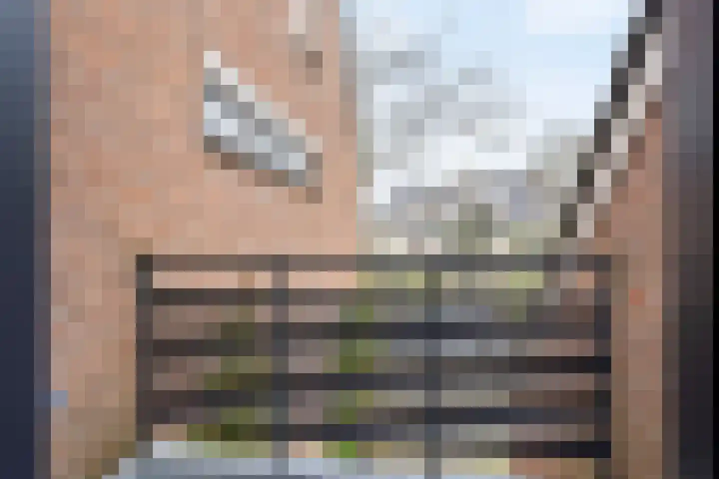 Moerasmos 10 Nieuwerkerk aan den IJssel thumbnail 24