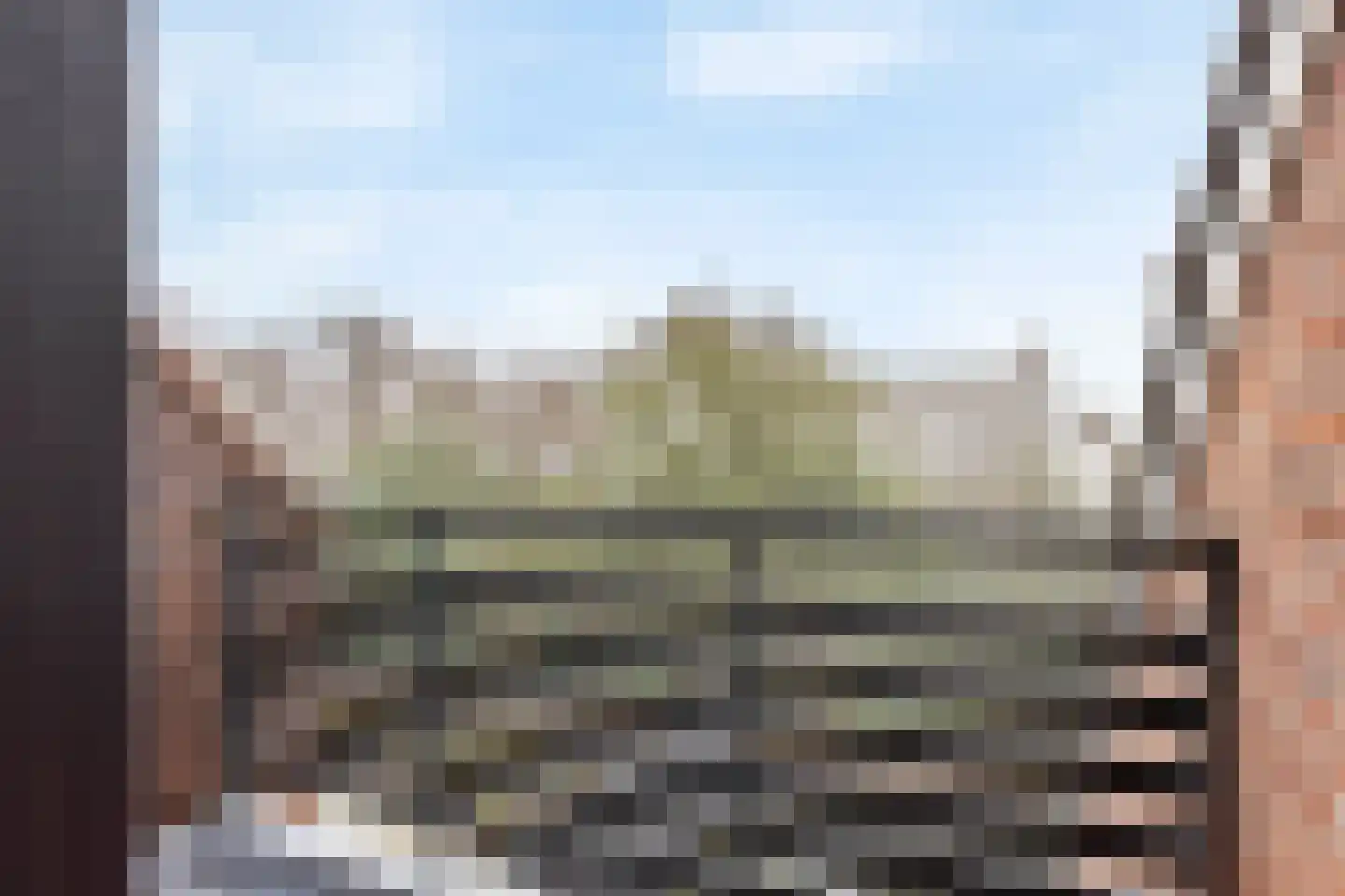 Moerasmos 10 Nieuwerkerk aan den IJssel thumbnail 29