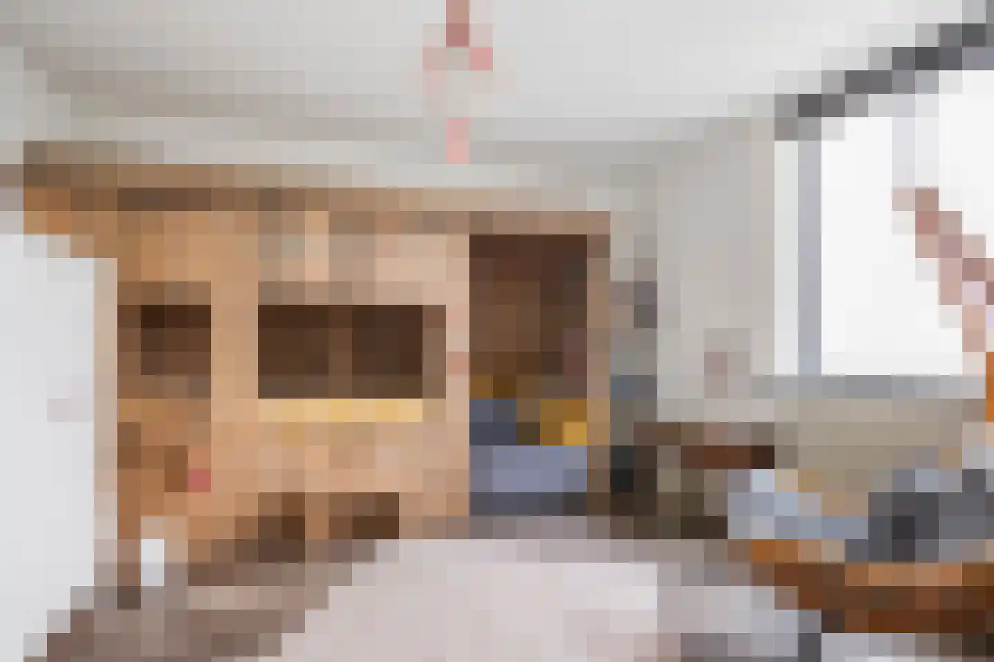 Moerasmos 10 Nieuwerkerk aan den IJssel thumbnail 31
