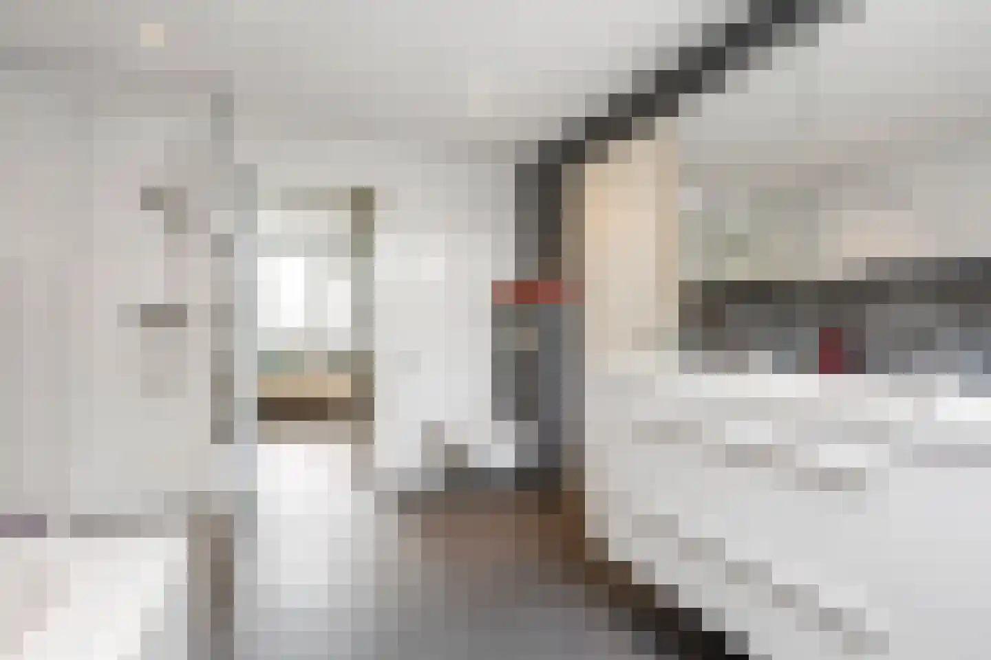 Moerasmos 10 Nieuwerkerk aan den IJssel thumbnail 36