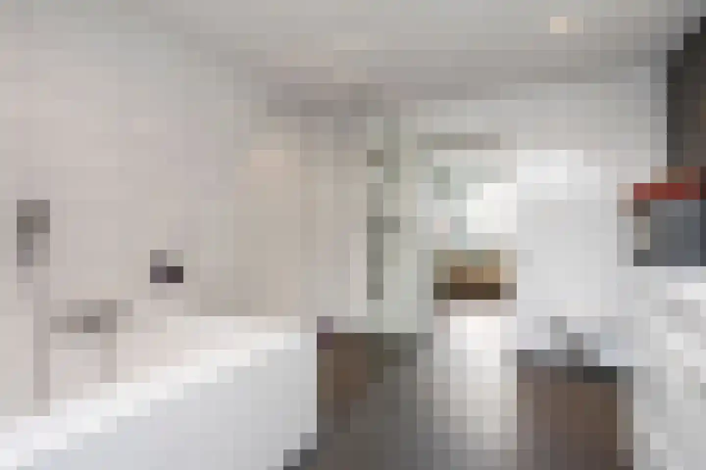 Moerasmos 10 Nieuwerkerk aan den IJssel thumbnail 37