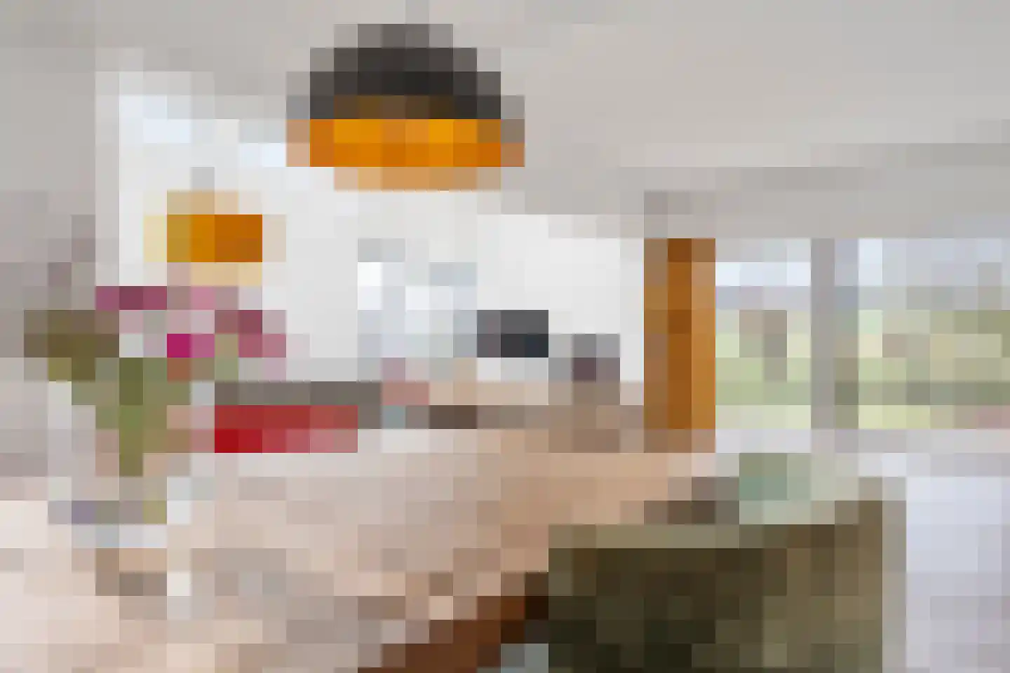 Moerasmos 10 Nieuwerkerk aan den IJssel thumbnail 4