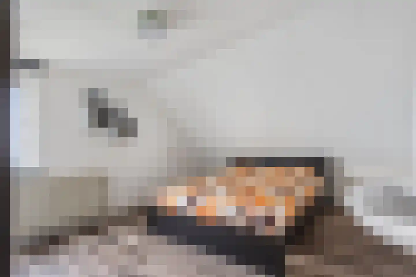 Moerasmos 10 Nieuwerkerk aan den IJssel thumbnail 41