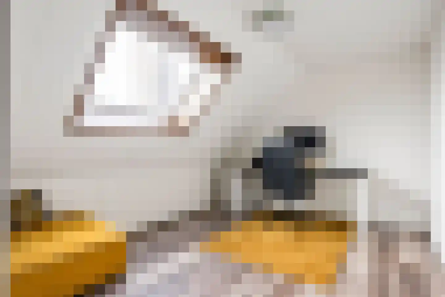Moerasmos 10 Nieuwerkerk aan den IJssel thumbnail 43