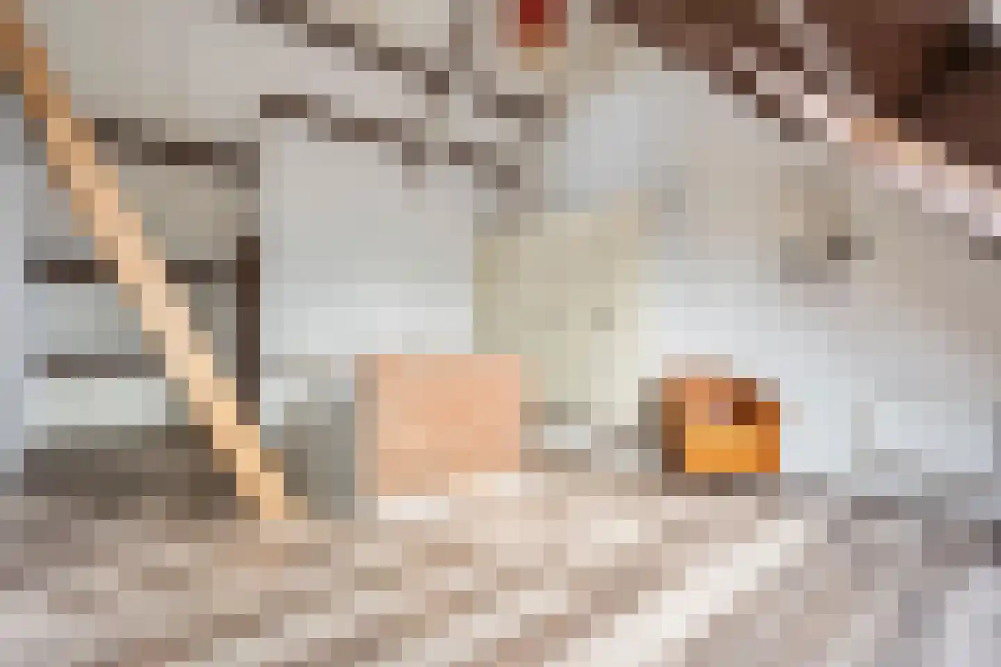 Moerasmos 10 Nieuwerkerk aan den IJssel thumbnail 44