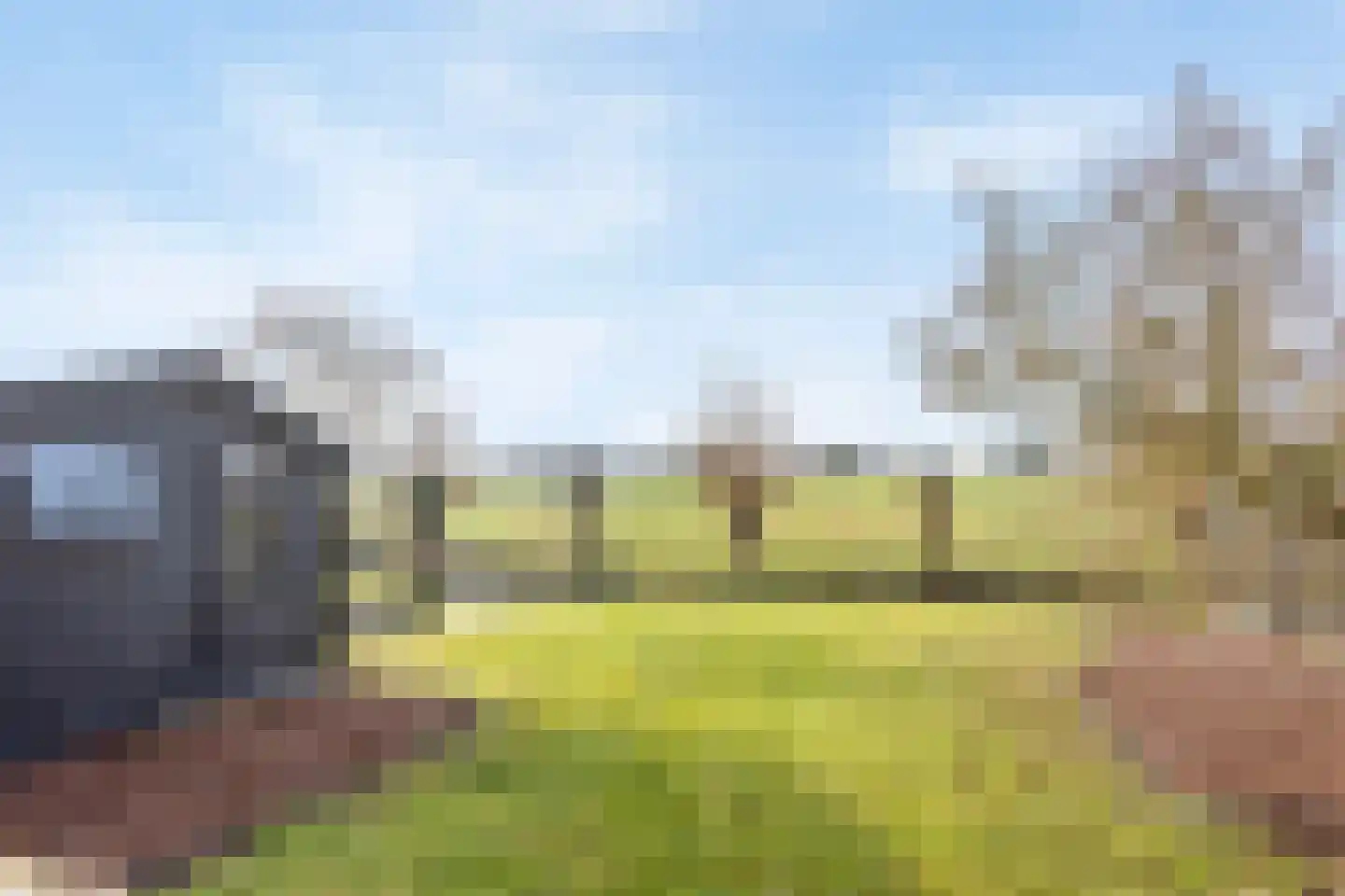 Moerasmos 10 Nieuwerkerk aan den IJssel thumbnail 49