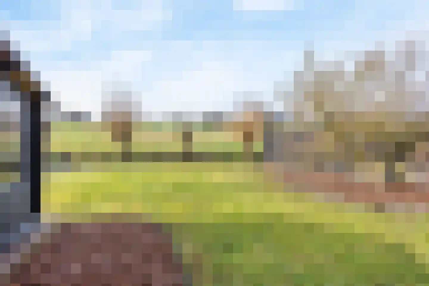 Moerasmos 10 Nieuwerkerk aan den IJssel thumbnail 50