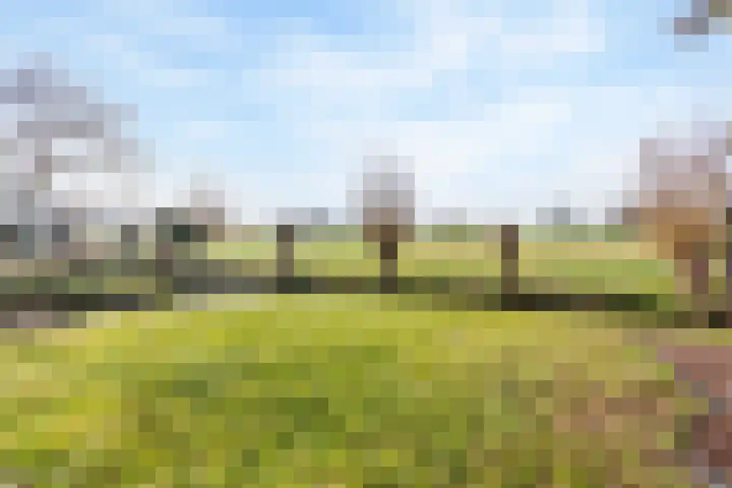 Moerasmos 10 Nieuwerkerk aan den IJssel thumbnail 51