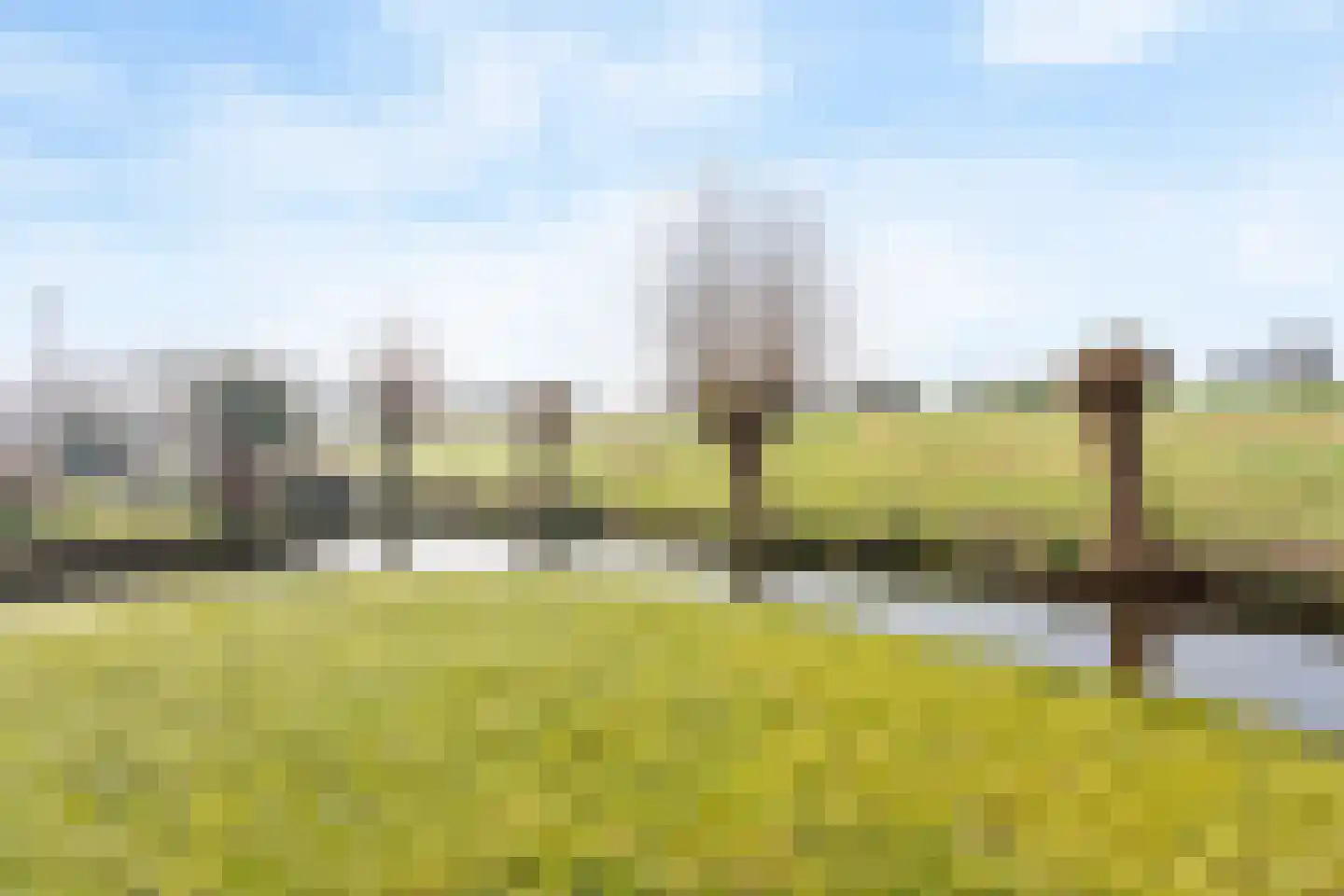 Moerasmos 10 Nieuwerkerk aan den IJssel thumbnail 52