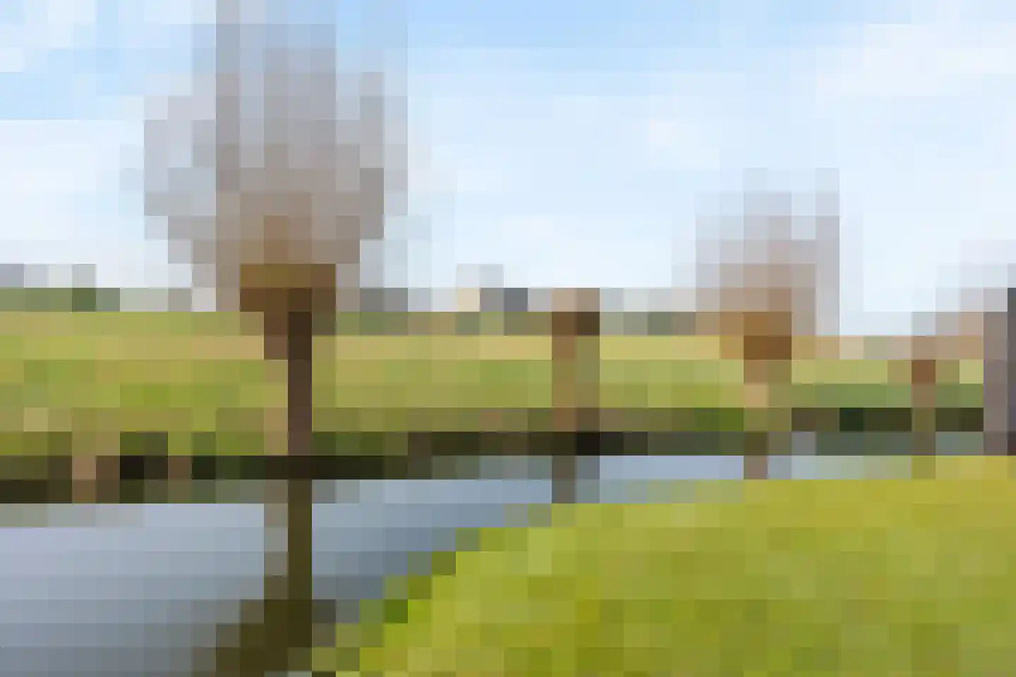 Moerasmos 10 Nieuwerkerk aan den IJssel thumbnail 56