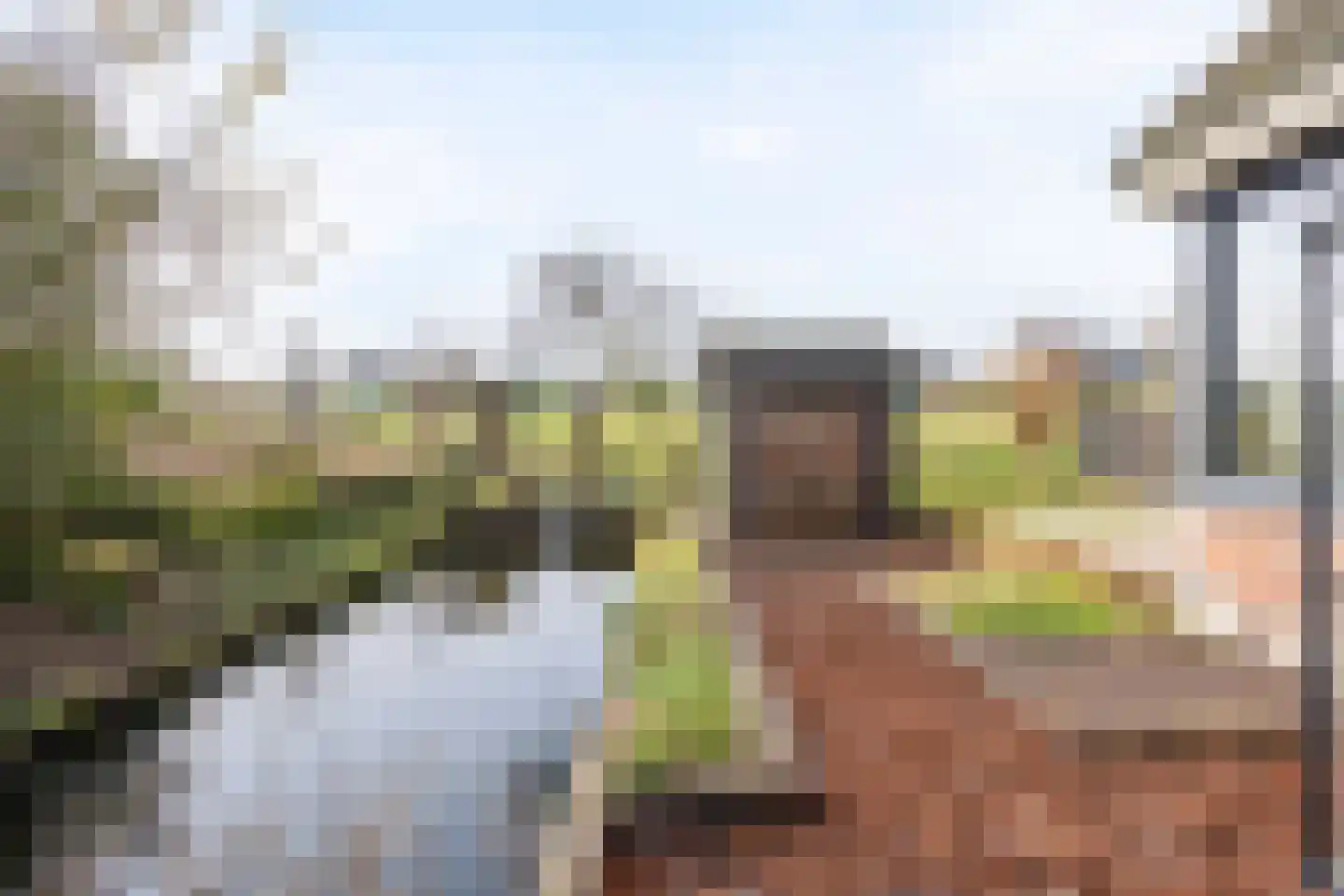 Moerasmos 10 Nieuwerkerk aan den IJssel thumbnail 58