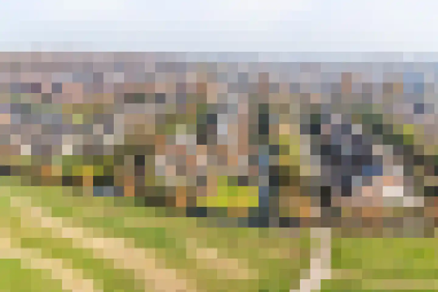 Moerasmos 10 Nieuwerkerk aan den IJssel thumbnail 63