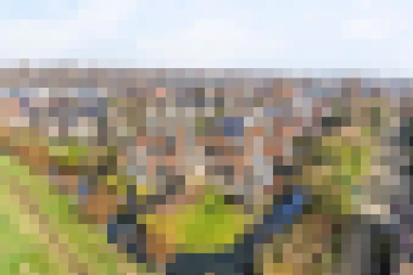 Moerasmos 10 Nieuwerkerk aan den IJssel thumbnail 64