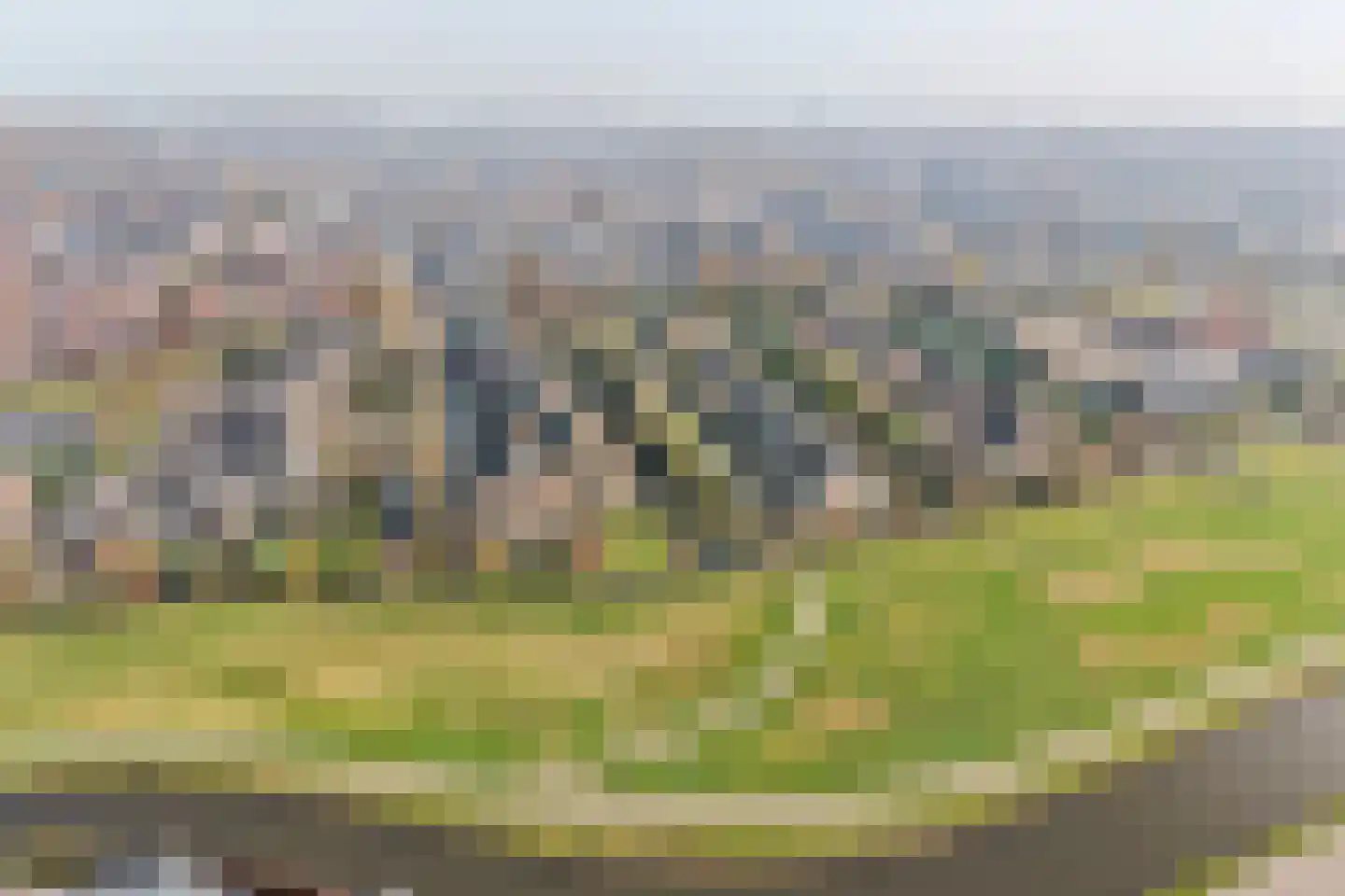 Moerasmos 10 Nieuwerkerk aan den IJssel thumbnail 65