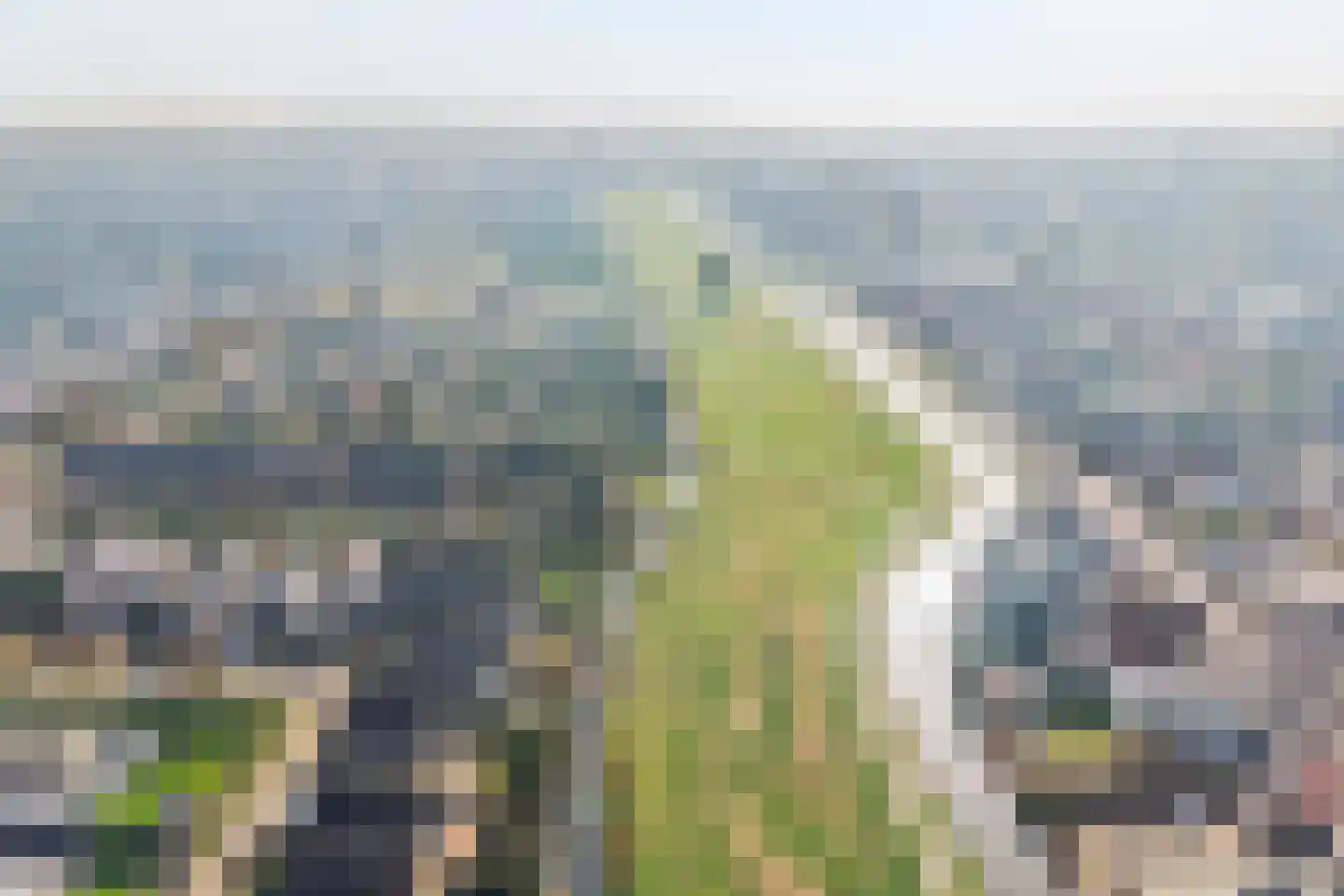 Moerasmos 10 Nieuwerkerk aan den IJssel thumbnail 66
