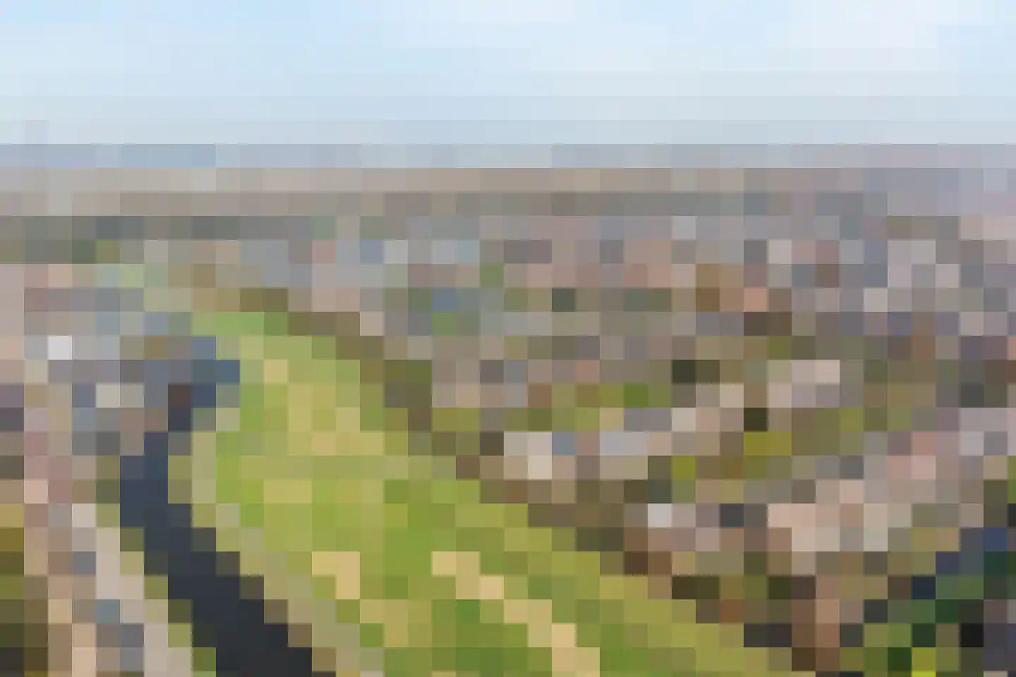 Moerasmos 10 Nieuwerkerk aan den IJssel thumbnail 67