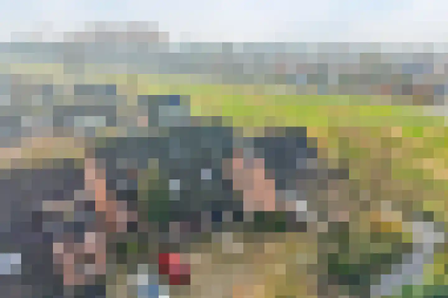 Moerasmos 10 Nieuwerkerk aan den IJssel thumbnail 68