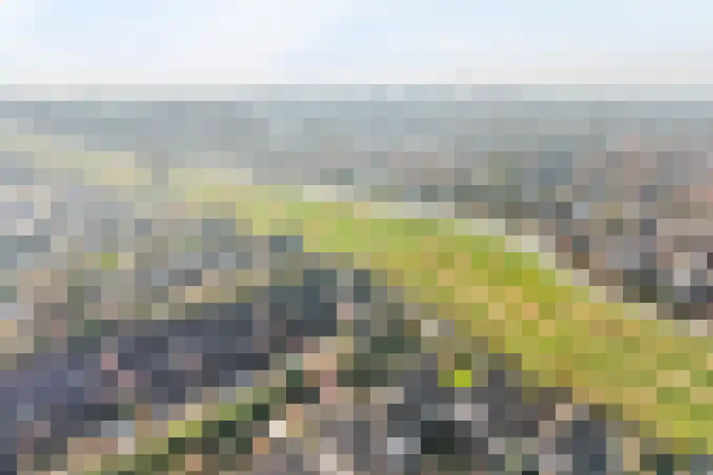 Moerasmos 10 Nieuwerkerk aan den IJssel thumbnail 69