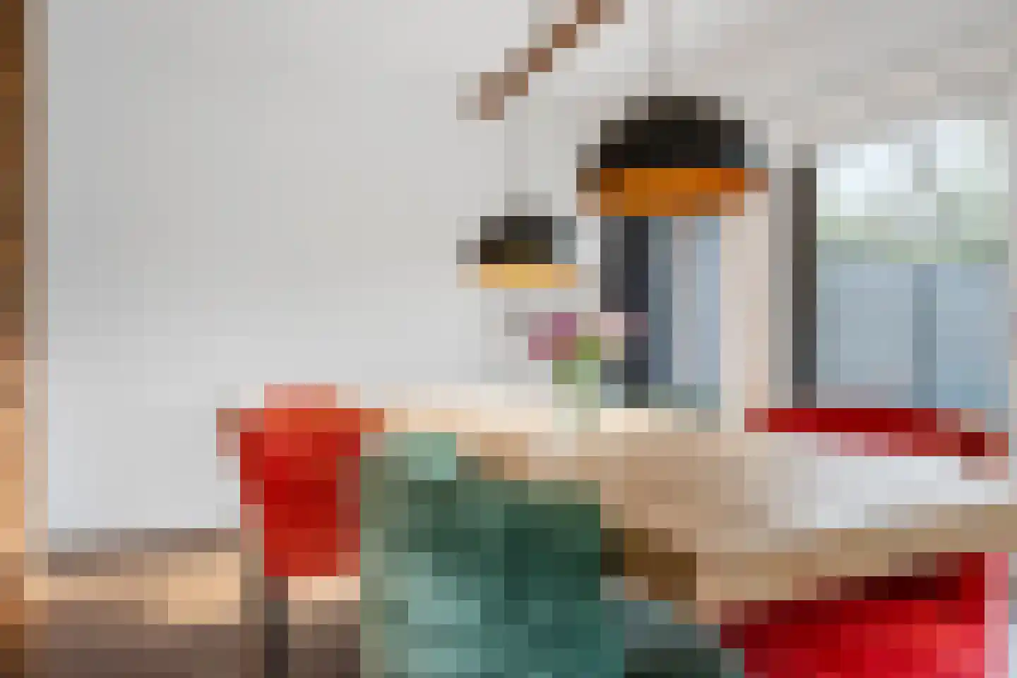 Moerasmos 10 Nieuwerkerk aan den IJssel thumbnail 9