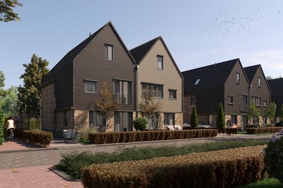 Moerasorchidee 10 dans Lelystad photo