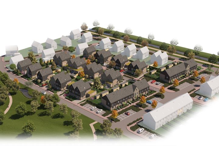 Moerasorchidee 12 dans Lelystad photo