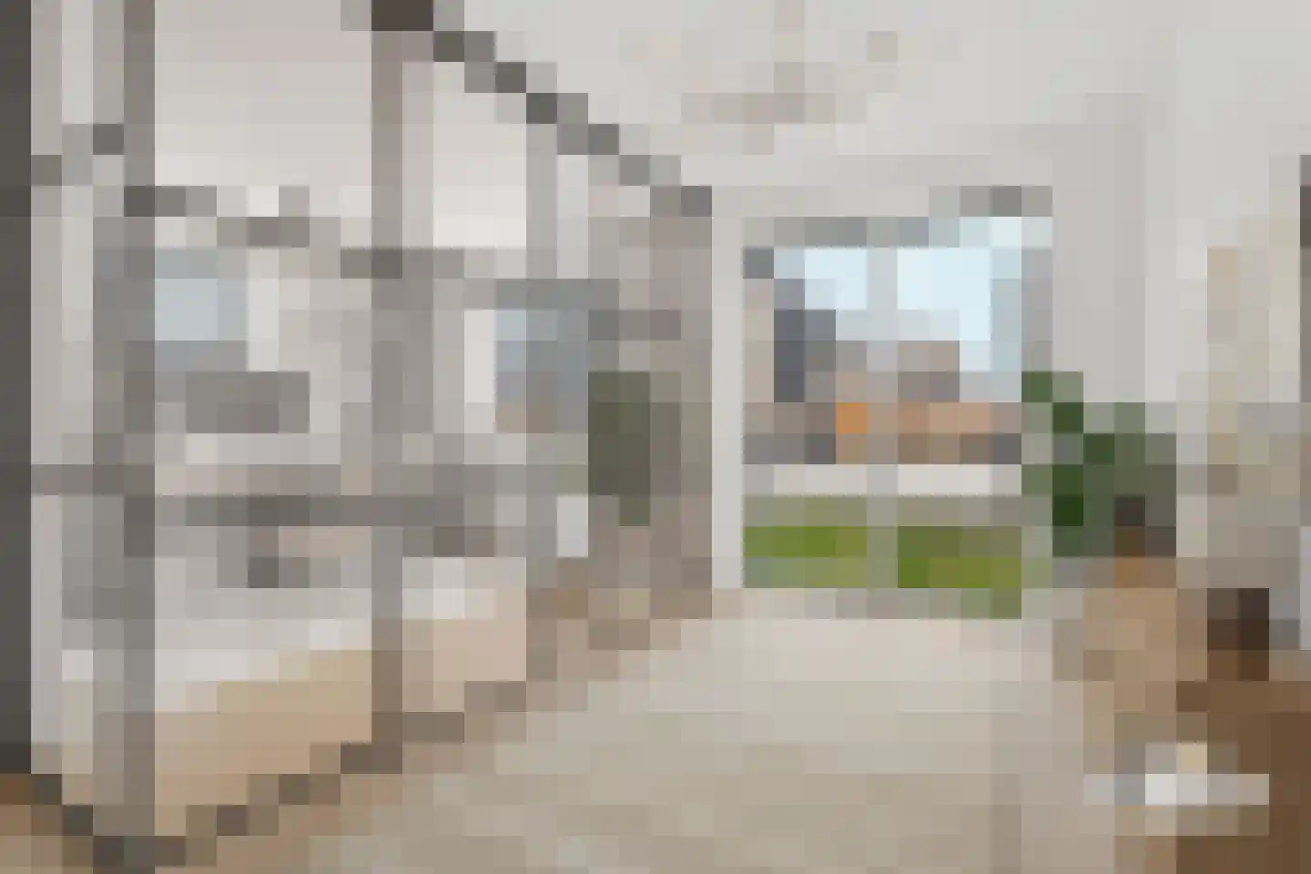 Moerasorchidee 13 Lelystad thumbnail 13