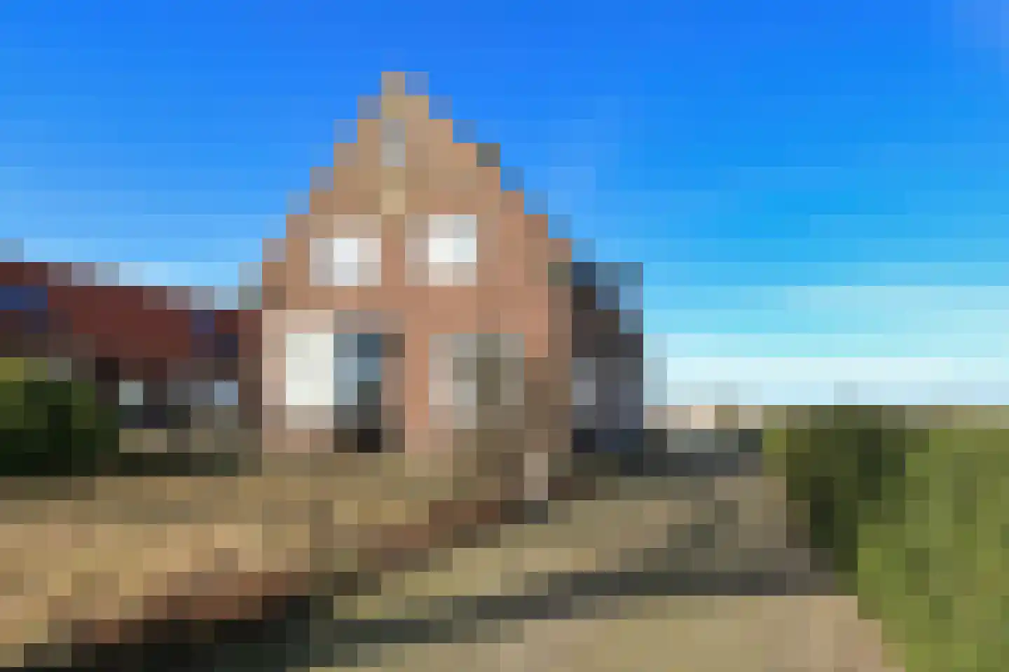 Moerasorchidee 13 Lelystad thumbnail 31