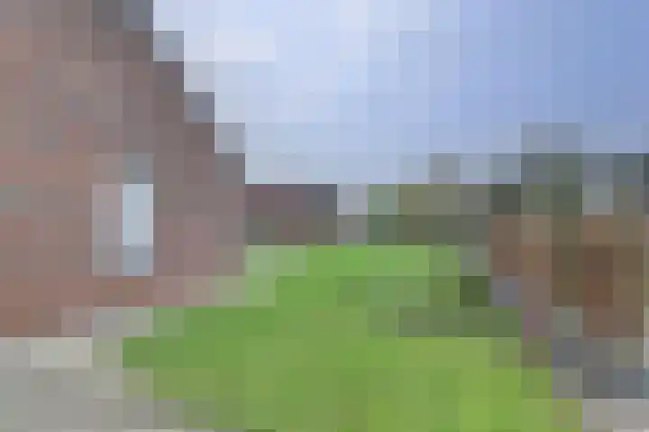 Moerasorchidee 13 Lelystad thumbnail 32
