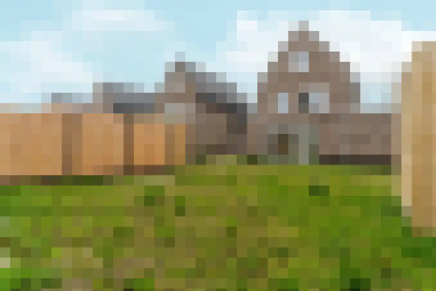Moerasorchidee 13 Lelystad thumbnail 52