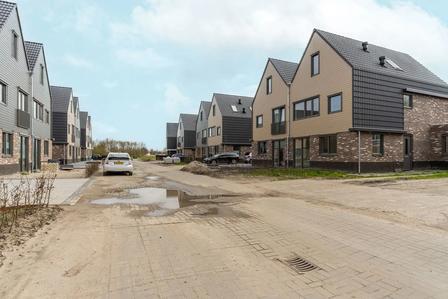 Moerasorchidee 13 Lelystad thumbnail 6