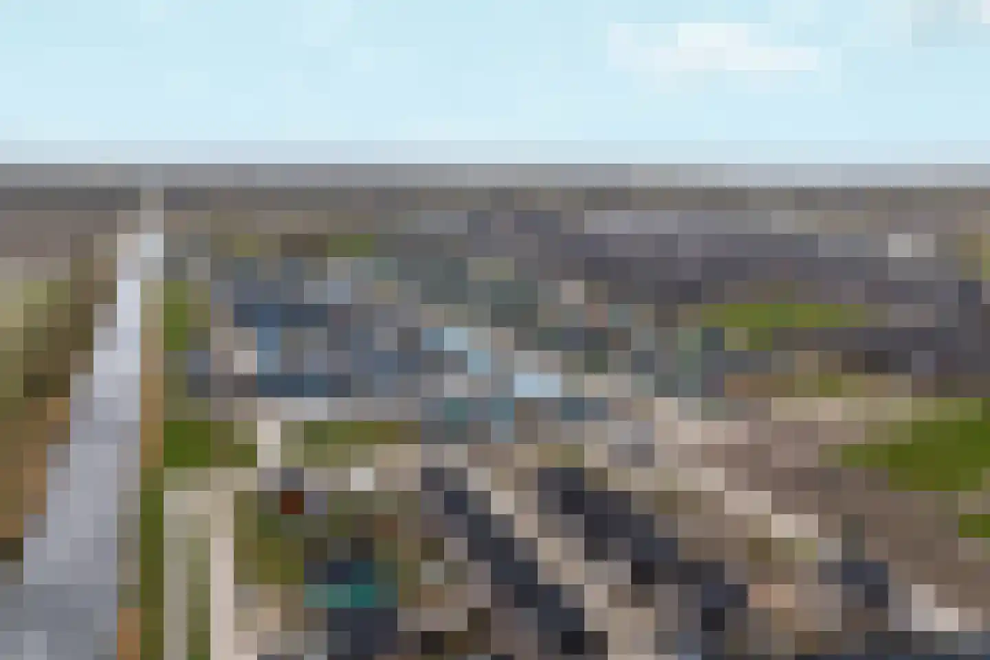 Moerasorchidee 13 Lelystad thumbnail 60