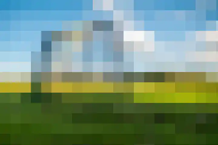 Moerasorchidee 19 Lelystad thumbnail 11