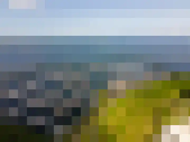 Moerasorchidee 19 Lelystad thumbnail 12
