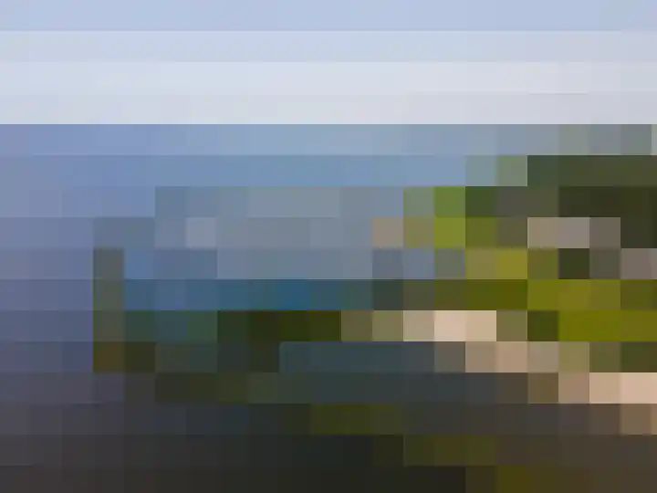 Moerasorchidee 19 Lelystad thumbnail 13